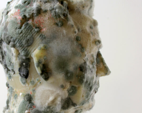 LONDON SHOW: SPS FACE2024